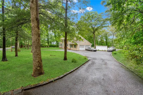 a view of a park with large trees