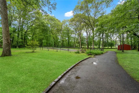 a view of a park with trees