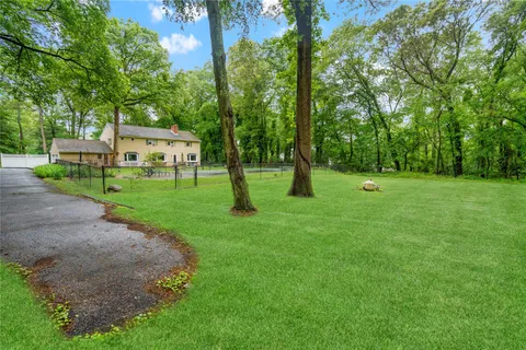 a view of park with trees