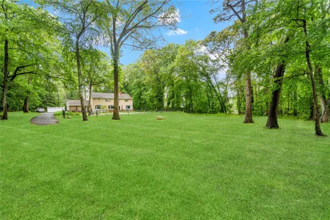 a view of green field with trees