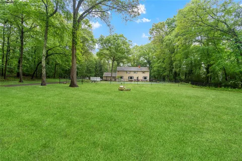 a view of a park with large trees