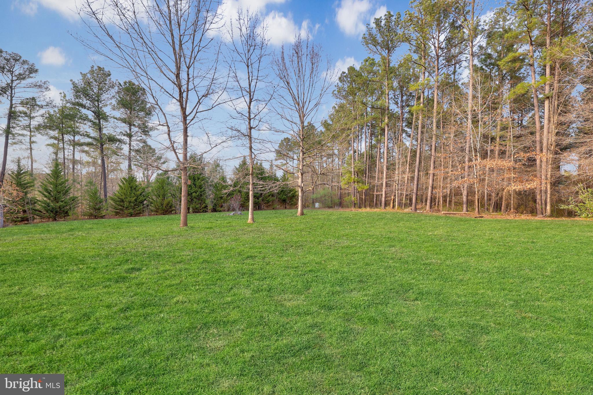 17183 Corder Road Elkwood, VA 22718 - Photo 9 of 75