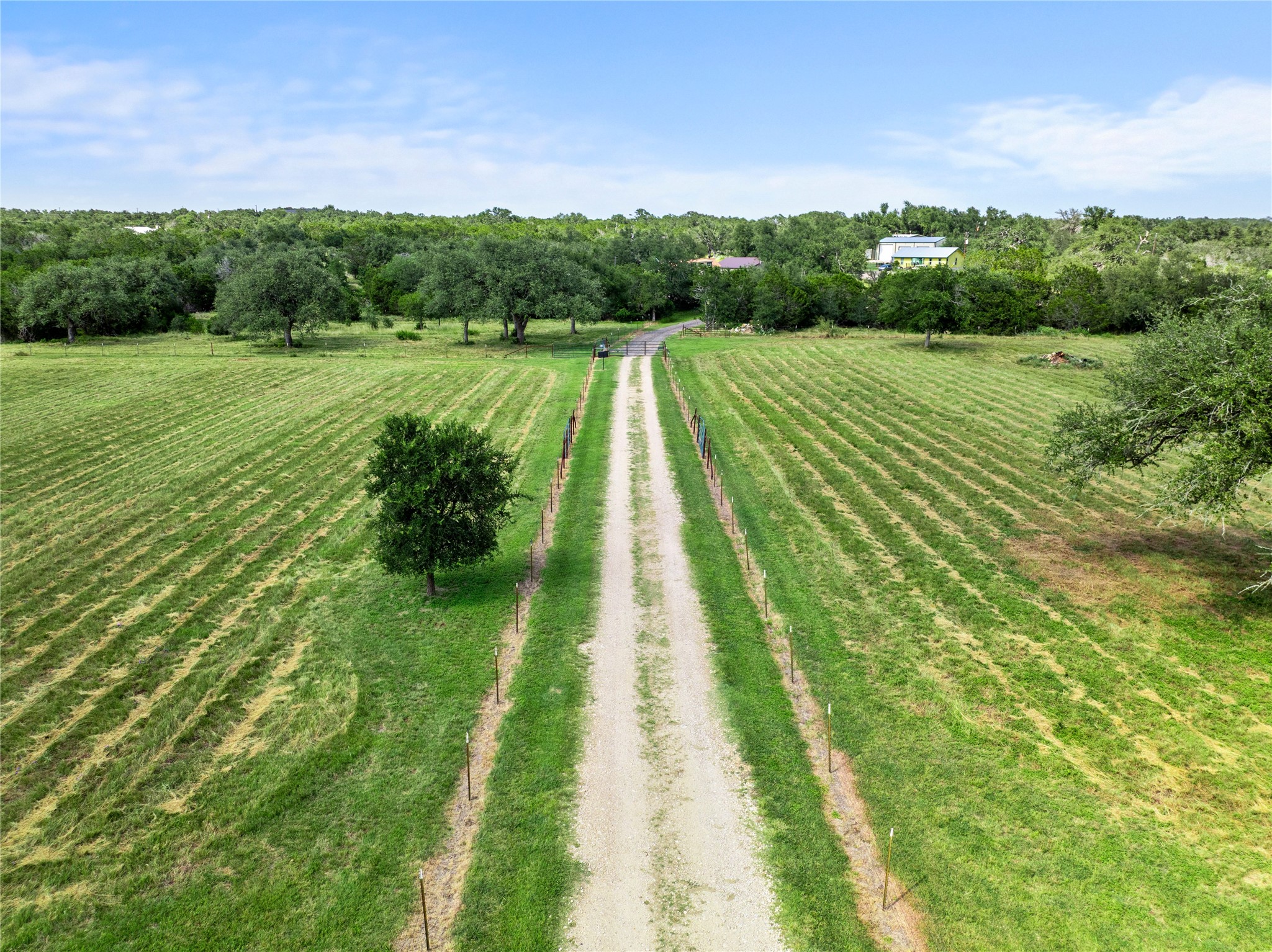 8200 Ranch Road 12 San Marcos, TX 78666 - Photo 23 of 40 A long private gravel driveway stretches across verdant fields towards a wooded horizon, promising serene living.