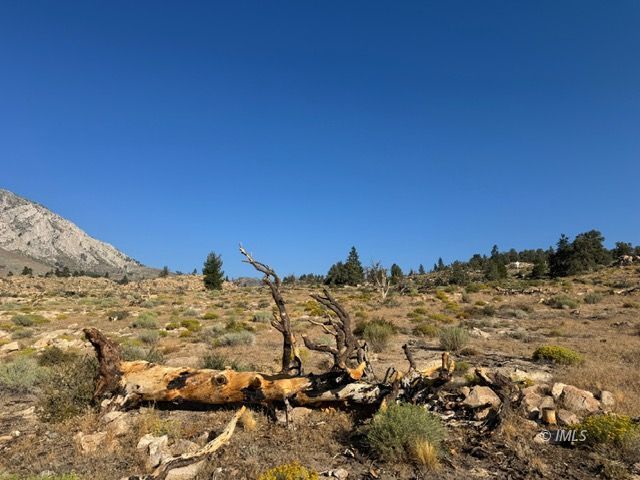 Lot #7 Swall Meadows Road Bishop, CA 93514 - Photo 11 of 17 Vacant Land