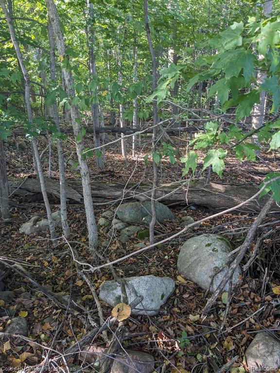 7168 Willis Road Brown City, MI 48416 - Photo 13 of 24