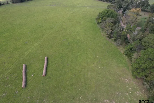 a view of a dry yard