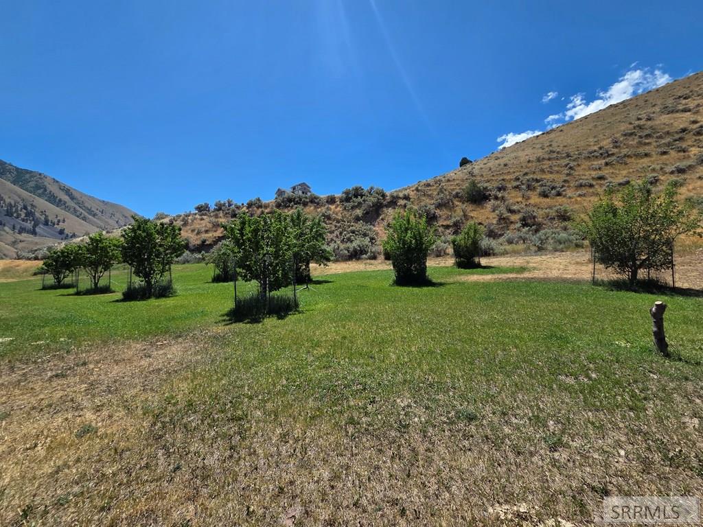101 Lake Creek Road Salmon, ID 83467 - Photo 54 of 68