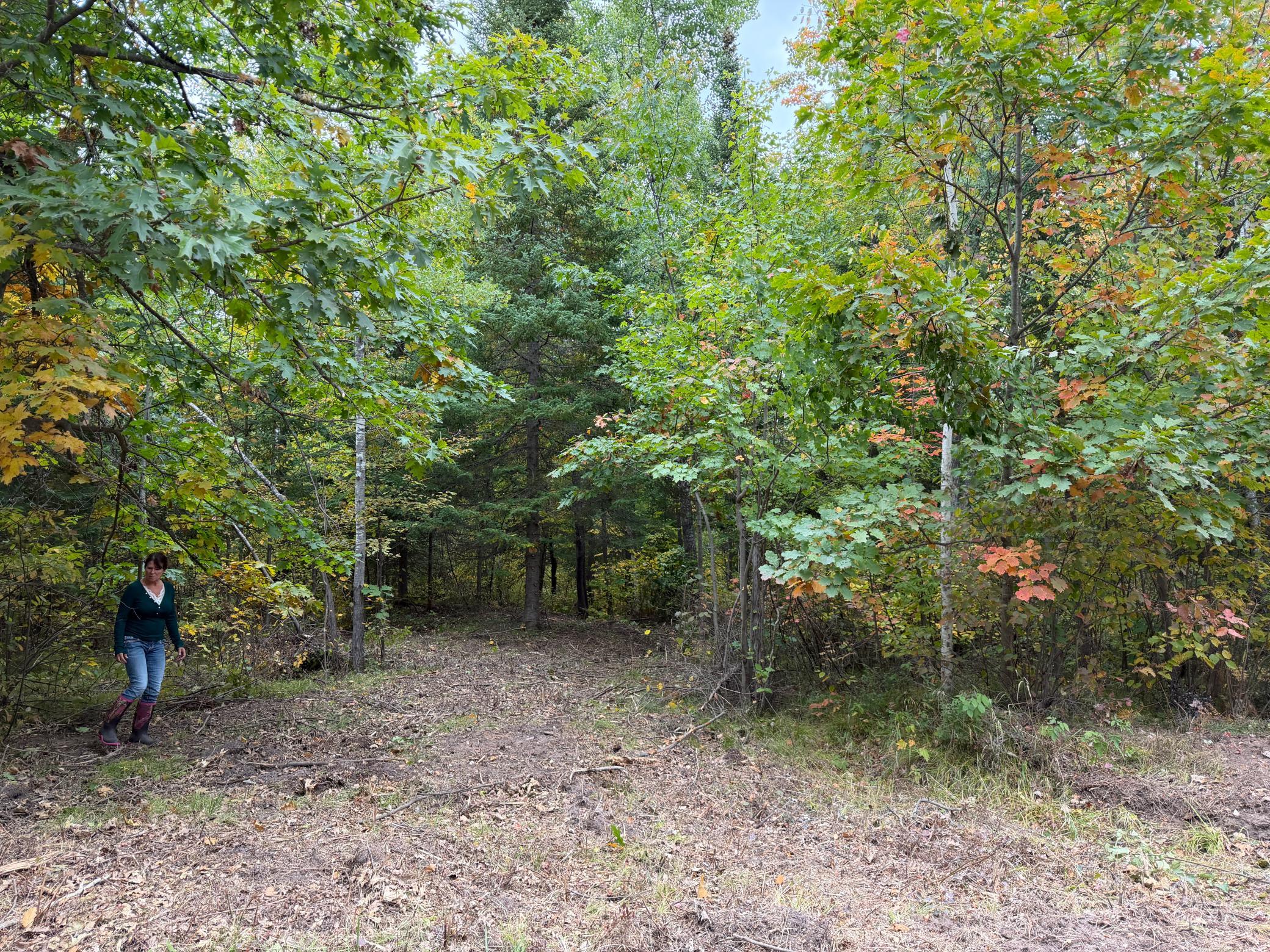 51181 Sand Creek Road Bruno, MN 55712 - Photo 2 of 14 Gallery Image 2