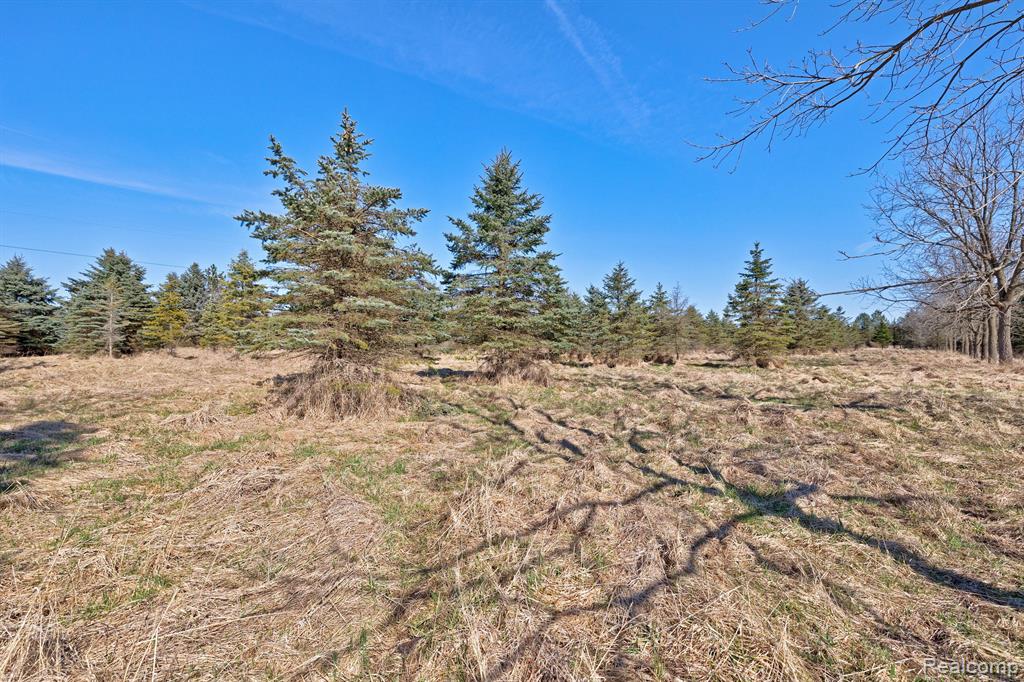 11899 Burt Road Memphis, MI 48041 - Photo 55 of 61