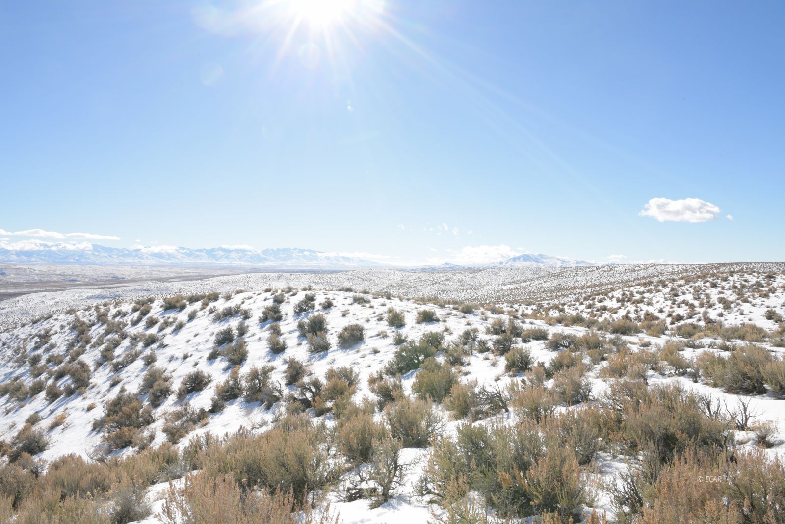Cedar Street Elko, NV 89801 - Photo 5 of 14