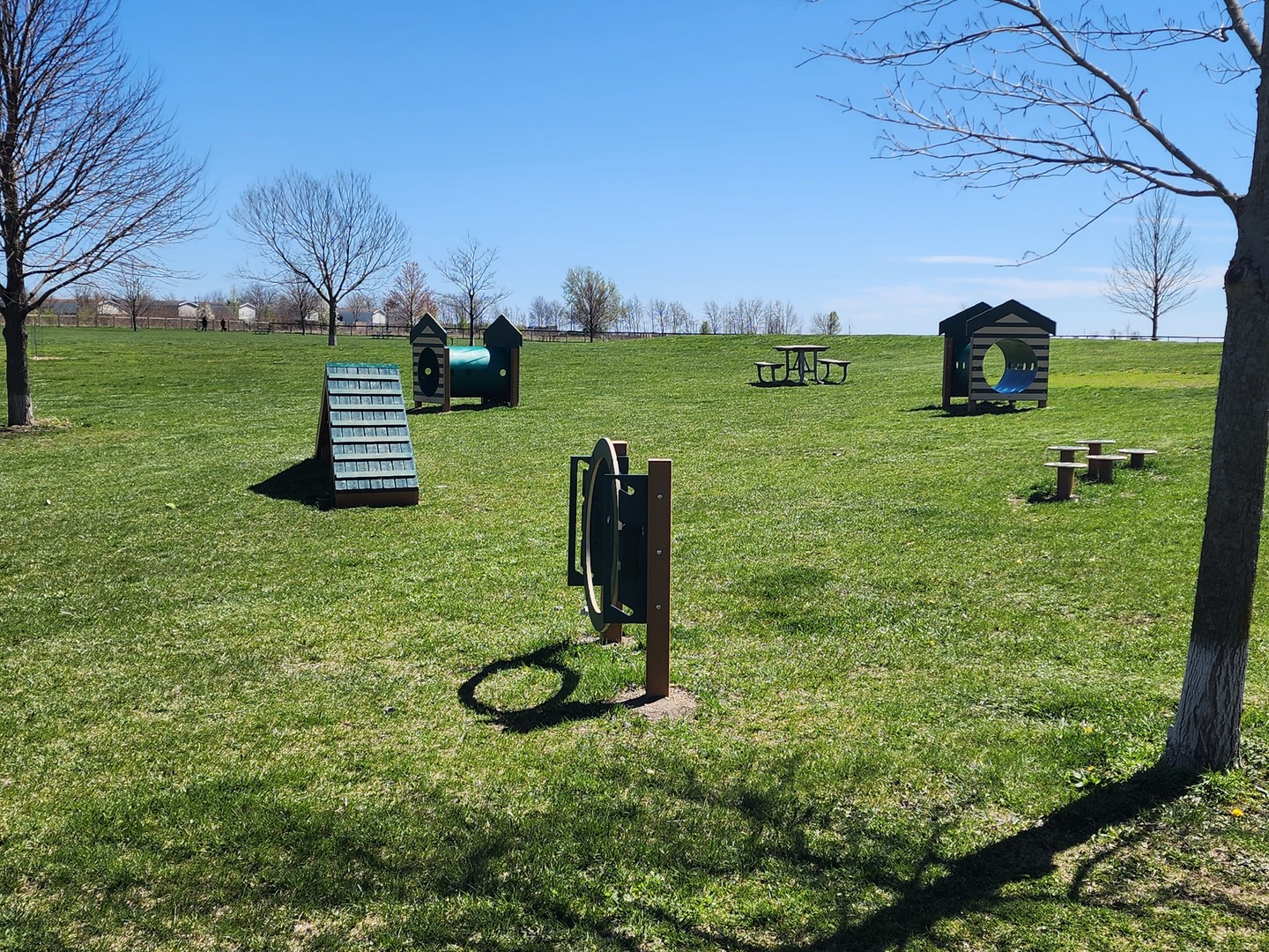 2008 Savanna Drive Champaign, IL 61822 - Photo 62 of 62 a view of a garden