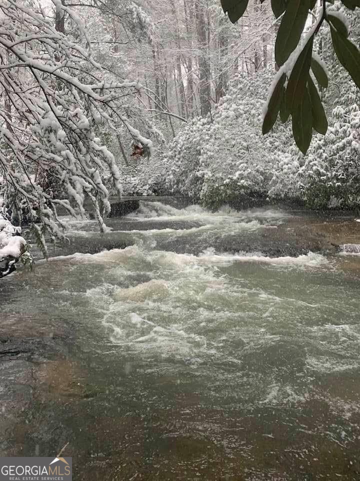 199 Camelia Lane Tiger, GA 30576 - Photo 4 of 100
