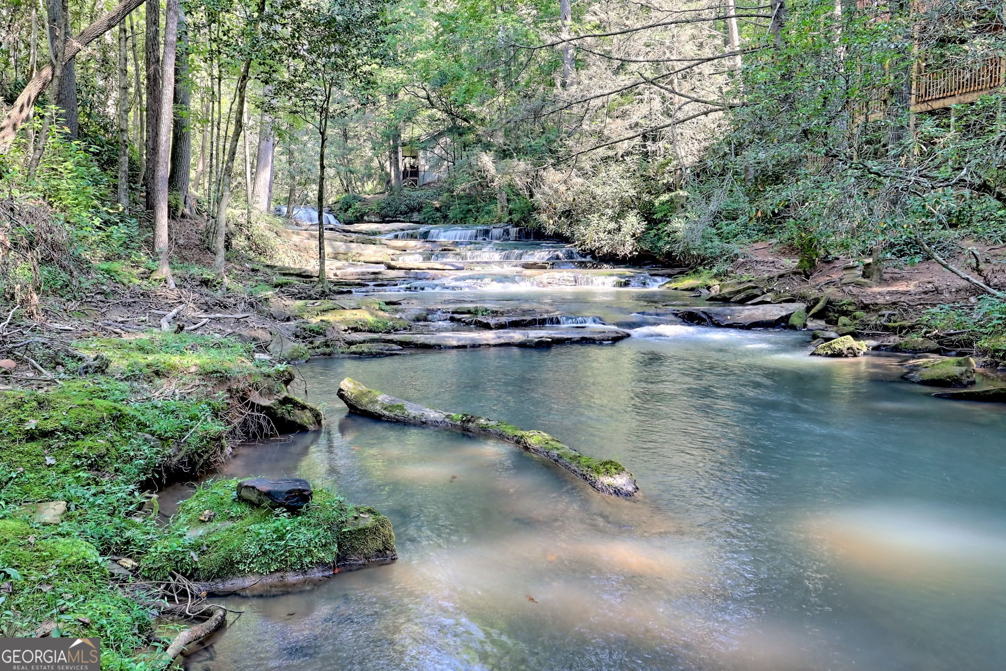 199 Camelia Lane Tiger, GA 30576 - Photo 7 of 100 a view of a lake with trees