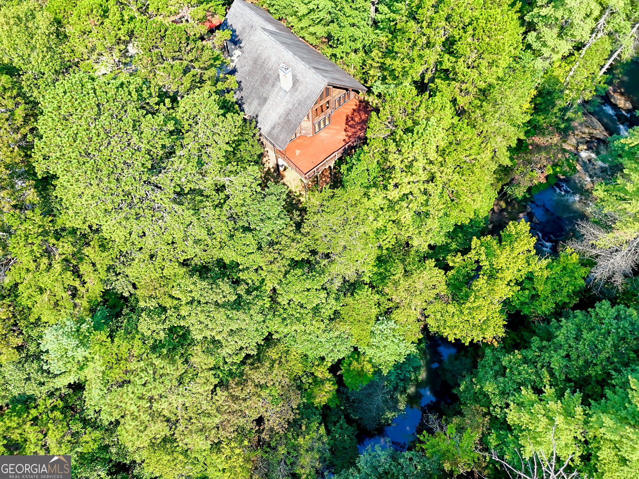 199 Camelia Lane Tiger, GA 30576 - Photo 100 of 100 a backyard of a house with lots of green space and garden