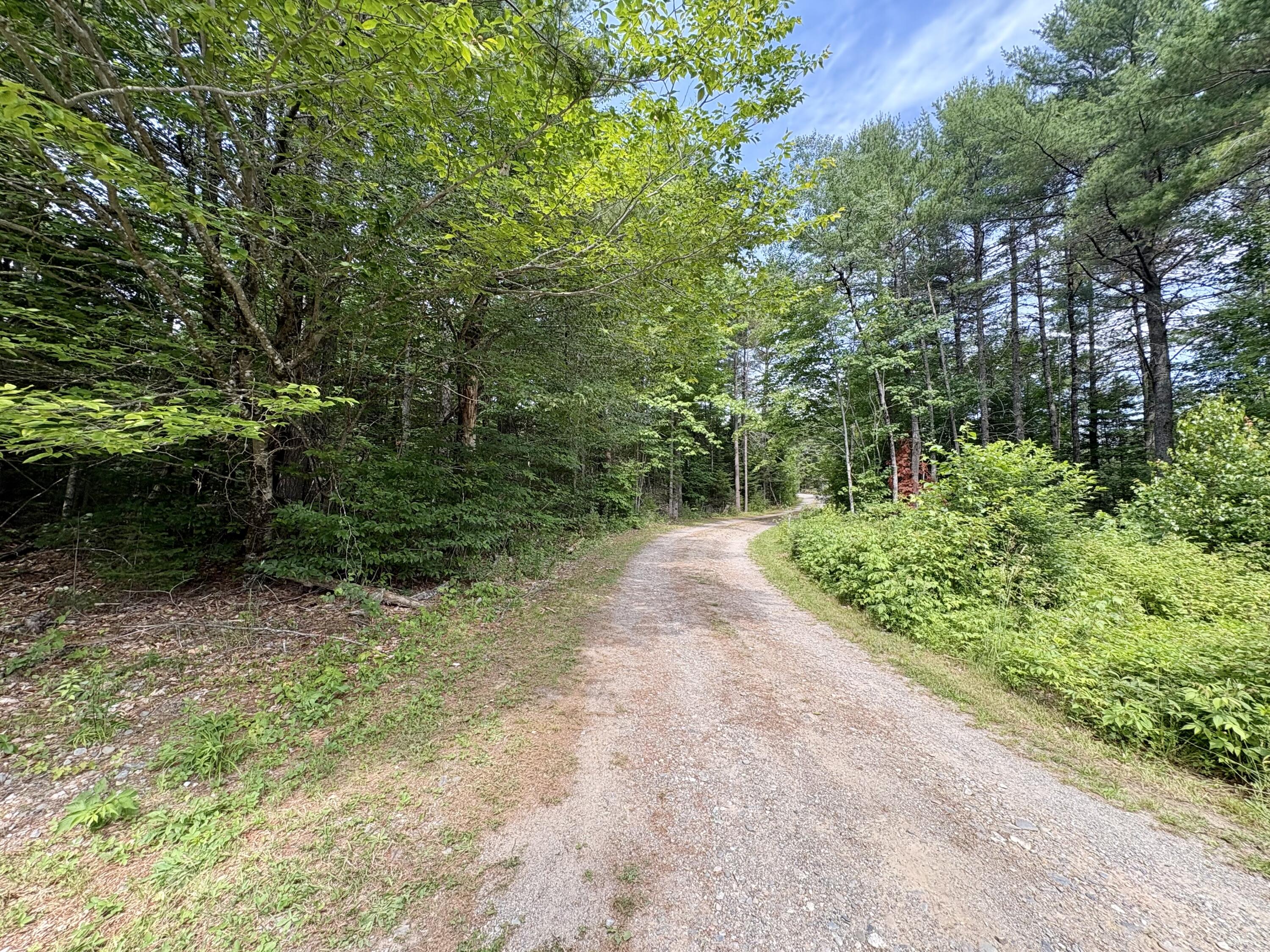 62 Old Keene Road Chester, ME 04457 - Photo 31 of 57 IMG_5211