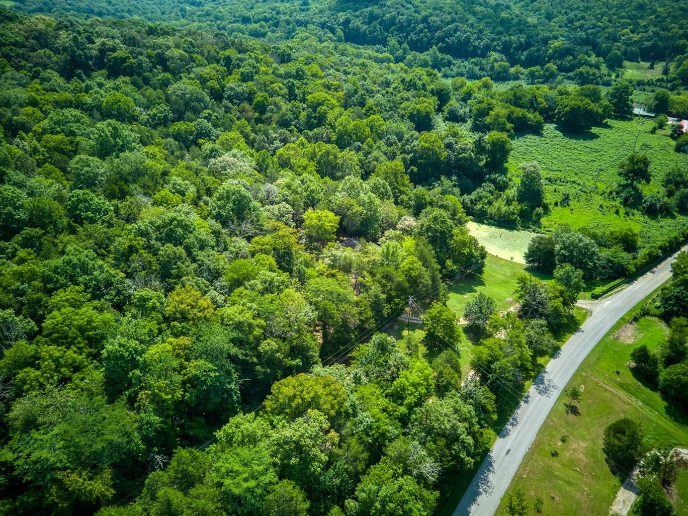 15813 St Mary's Road Buffalo Valley, TN 38548 - Photo 37 of 40 Gallery Image 37