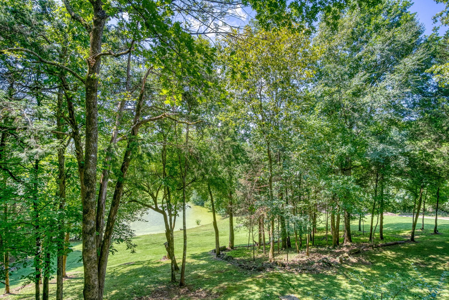 15813 St Mary's Road Buffalo Valley, TN 38548 - Photo 4 of 40 Gallery Image 4