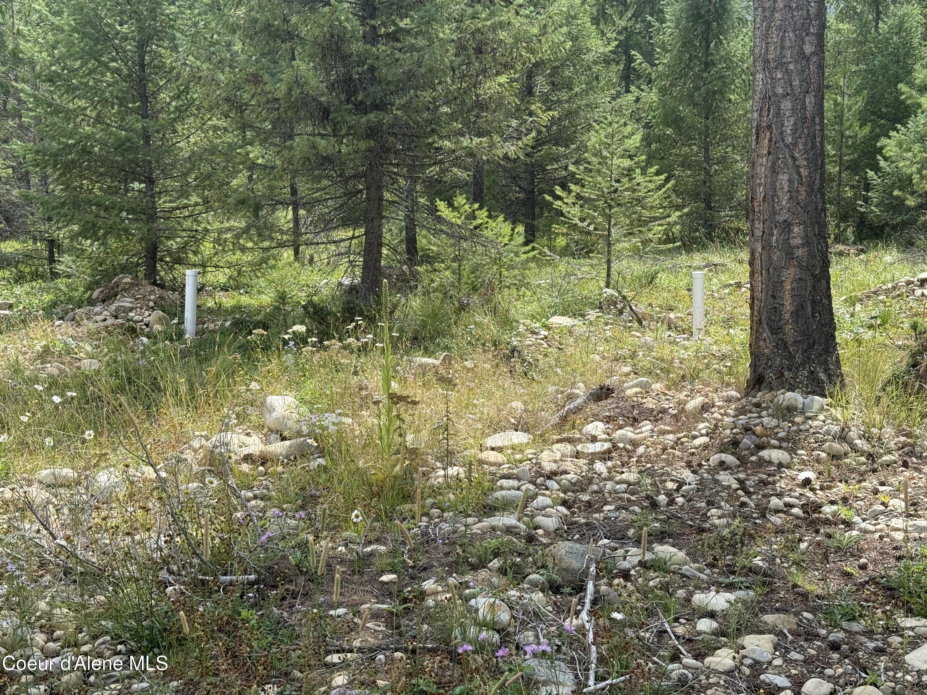 247 Old Addie Road Bonners Ferry, ID 83805 - Photo 11 of 23 IMG_4862