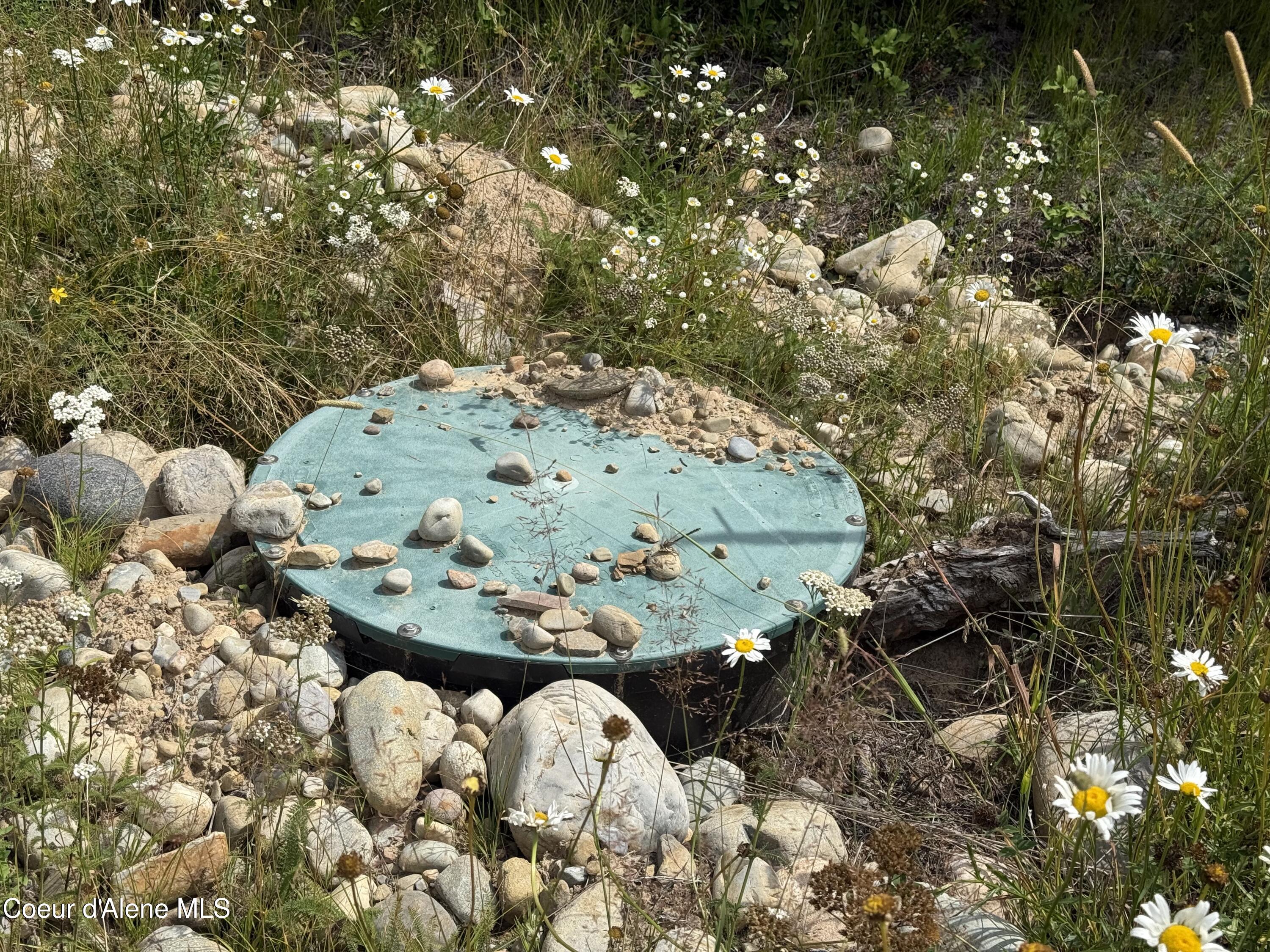 247 Old Addie Road Bonners Ferry, ID 83805 - Photo 12 of 23 IMG_4863