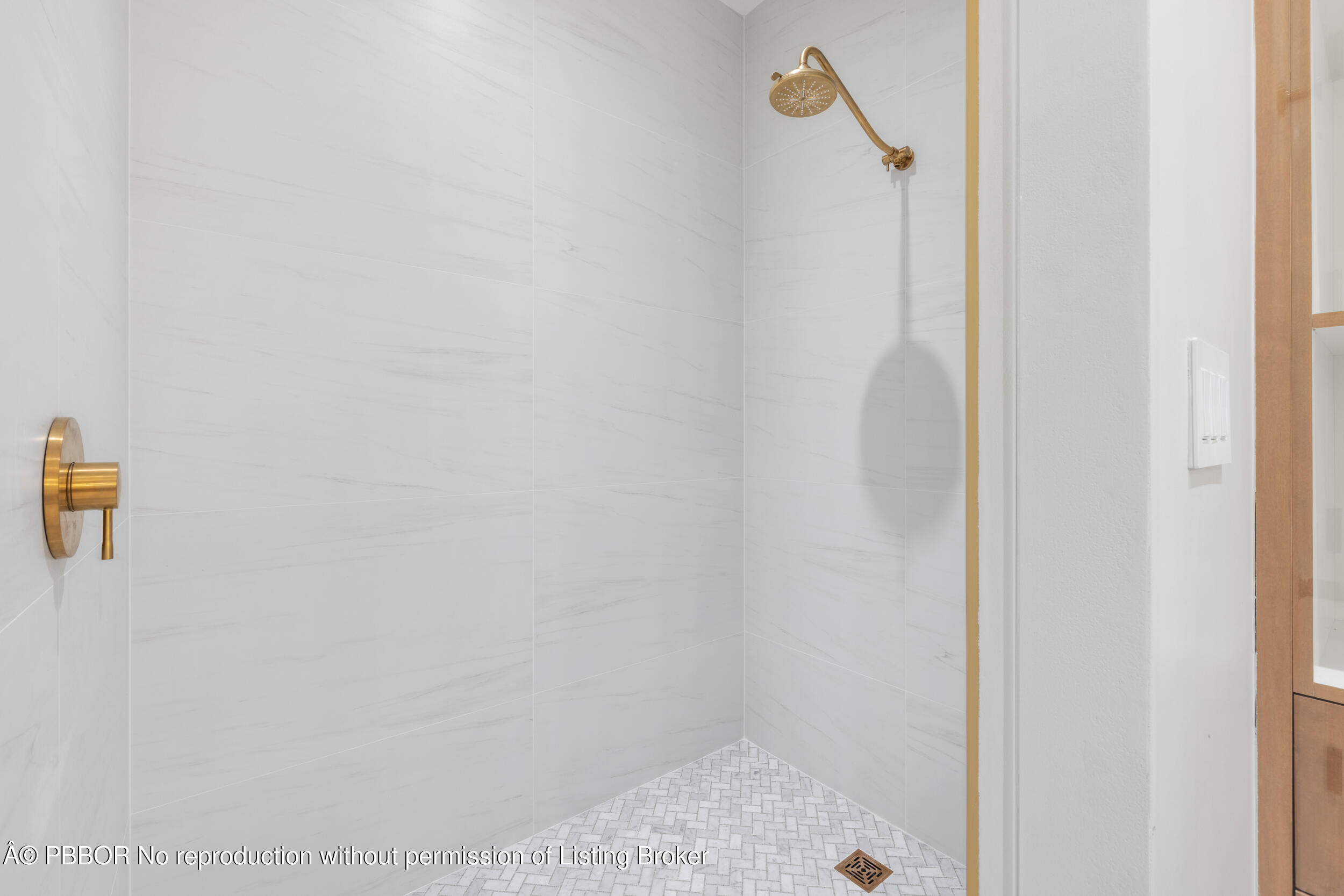 223 Sunset Avenue, Unit 3 Palm Beach, FL 33480 - Photo 17 of 20 SHOWER