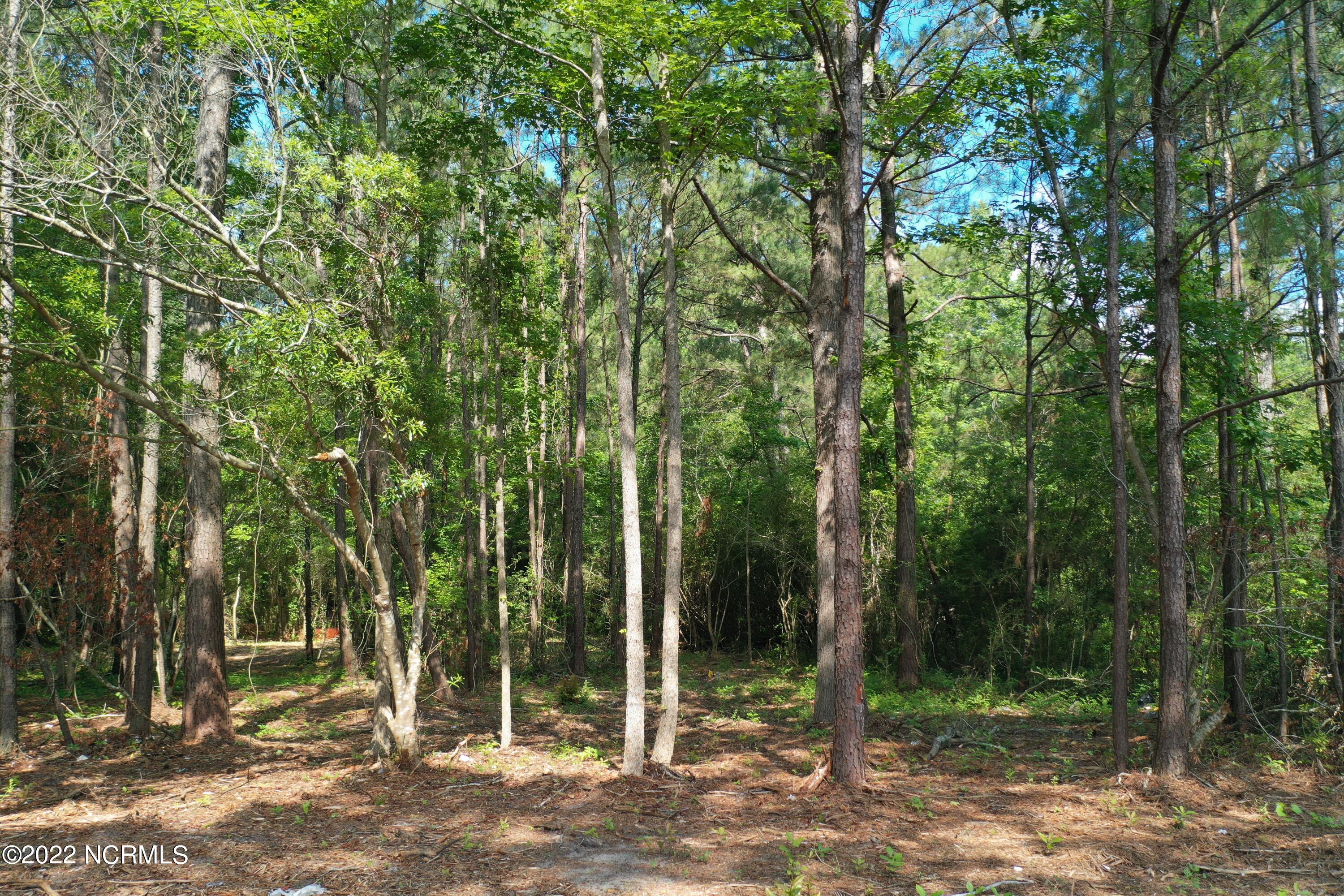 0 Babson Road Northwest Ash, NC 28420 - Photo 4 of 25 Babson Rd 6