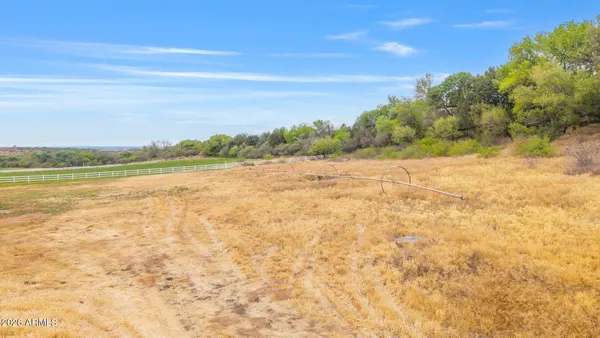 a view of dirt yard with a large tree