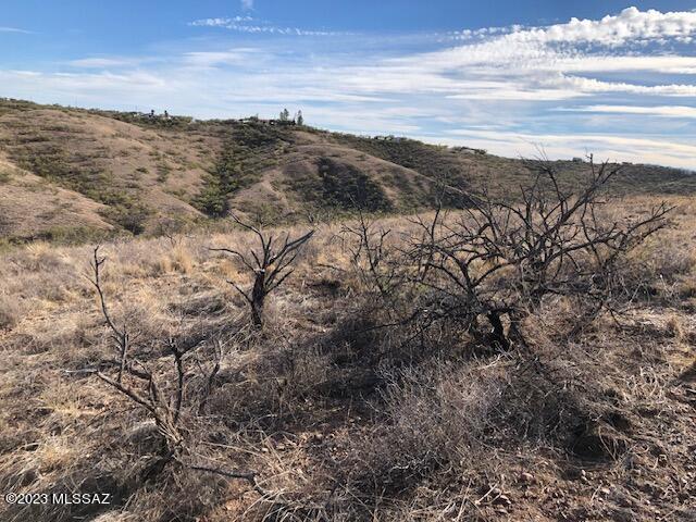 1265 Calle Cherokee, Unit 51 Rio Rico, AZ 85648 - Photo 4 of 8
