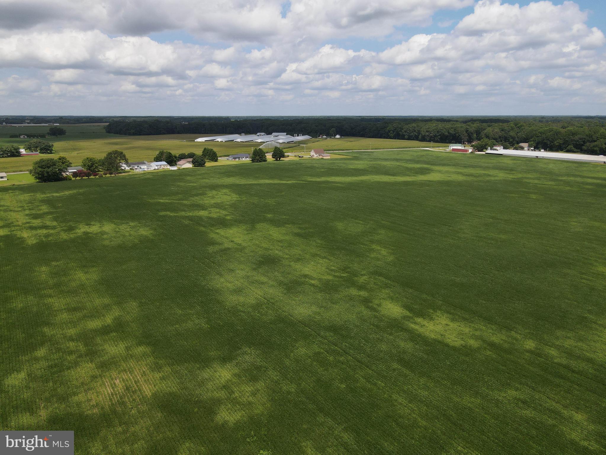 Lot 2 Woodland Ferry Road Seaford, DE 19973 - Photo 7 of 7