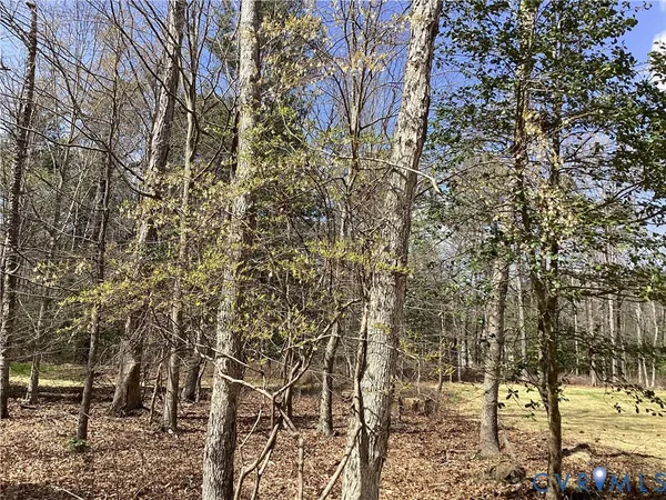 $439,950 | 11350 County Drive, Disputanta, VA 23842