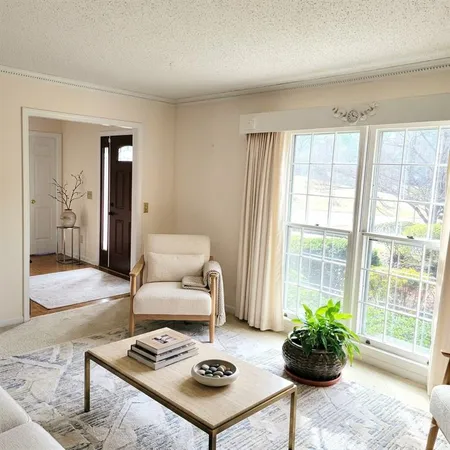 a living room with furniture and a potted plant