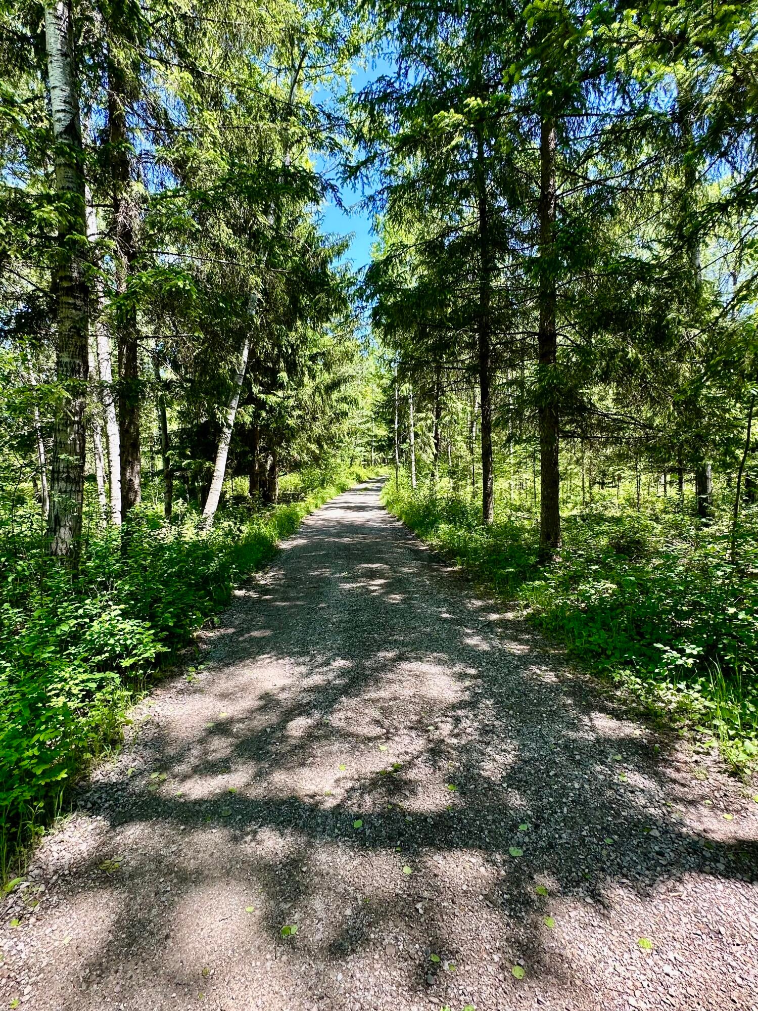 10085 Twin Bridge Road Grayling, MI 49738 - Photo 82 of 85 Gallery Image 82