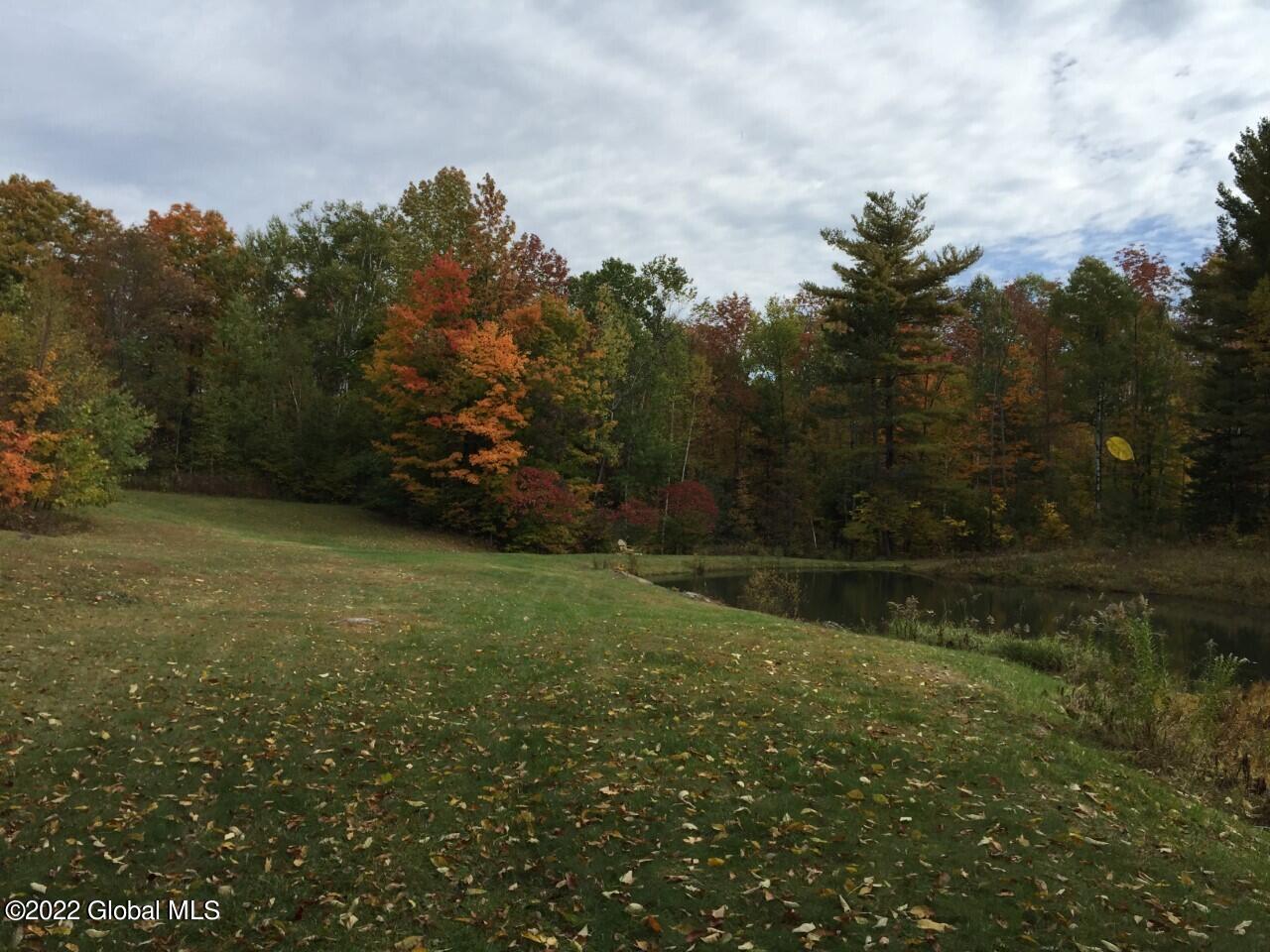 175 Henry Wescott Road Thurman, NY 12885 - Photo 45 of 55 Pond in Fall, lg image