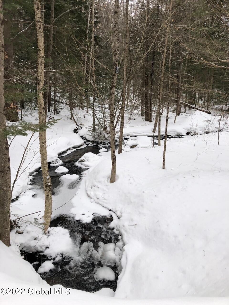 175 Henry Wescott Road Thurman, NY 12885 - Photo 50 of 55 Woodland stream