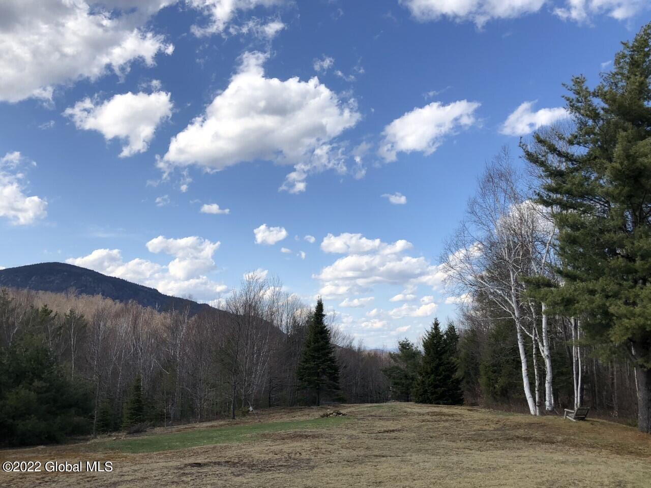 175 Henry Wescott Road Thurman, NY 12885 - Photo 53 of 55 Mountain, no leaves