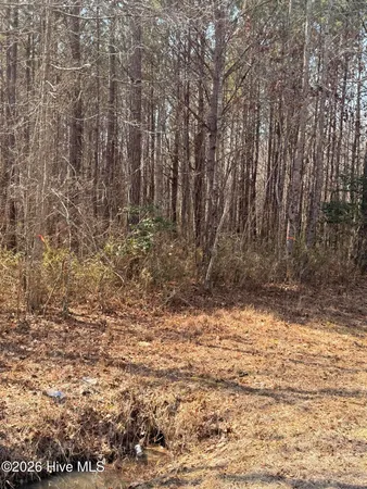 $14,900 | 2 Tuggie Eure Road, Eure, NC 27935