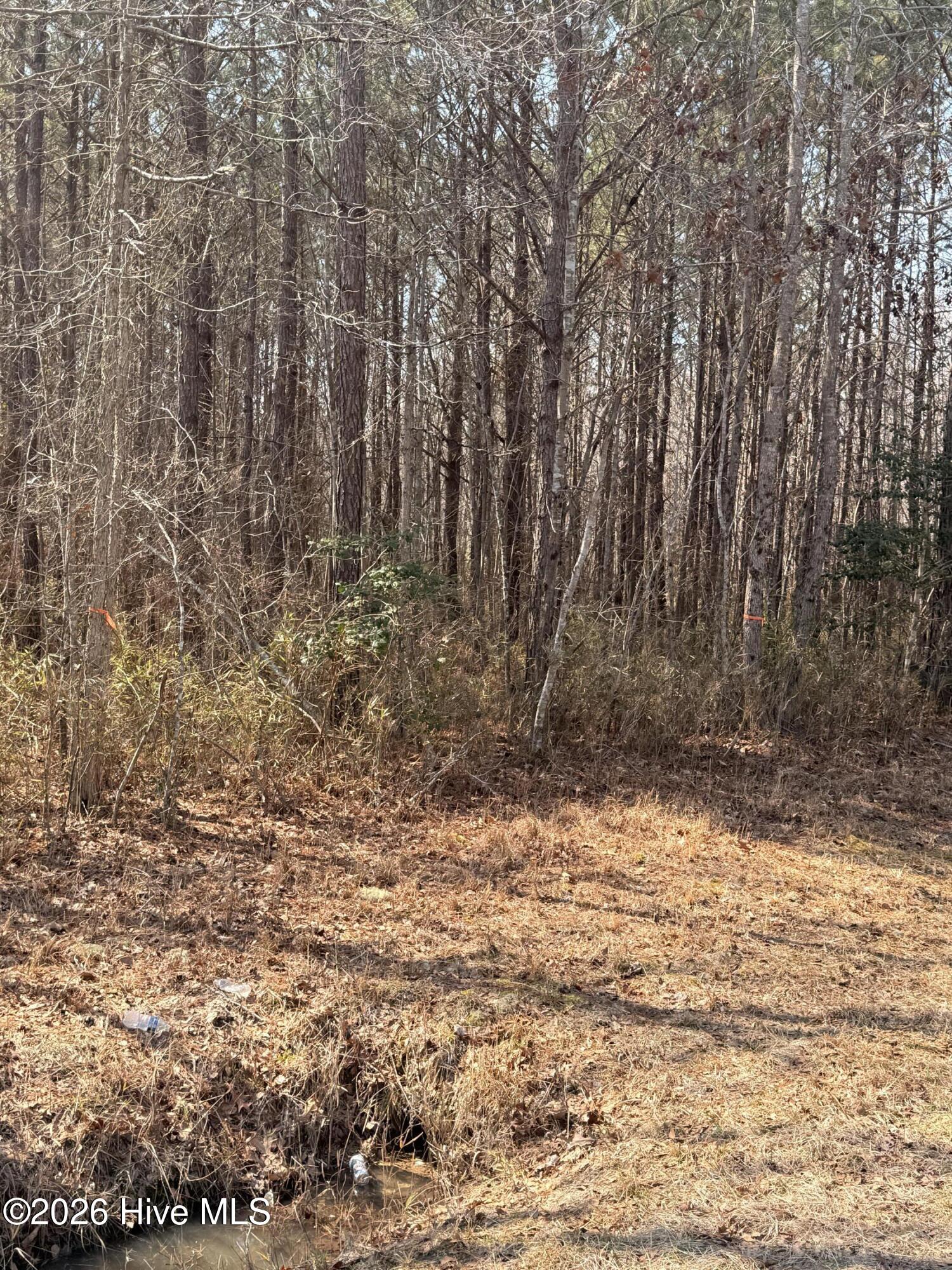 2 Tuggie Eure Road Eure, NC 27935 - Photo 4 of 5 Orange tape