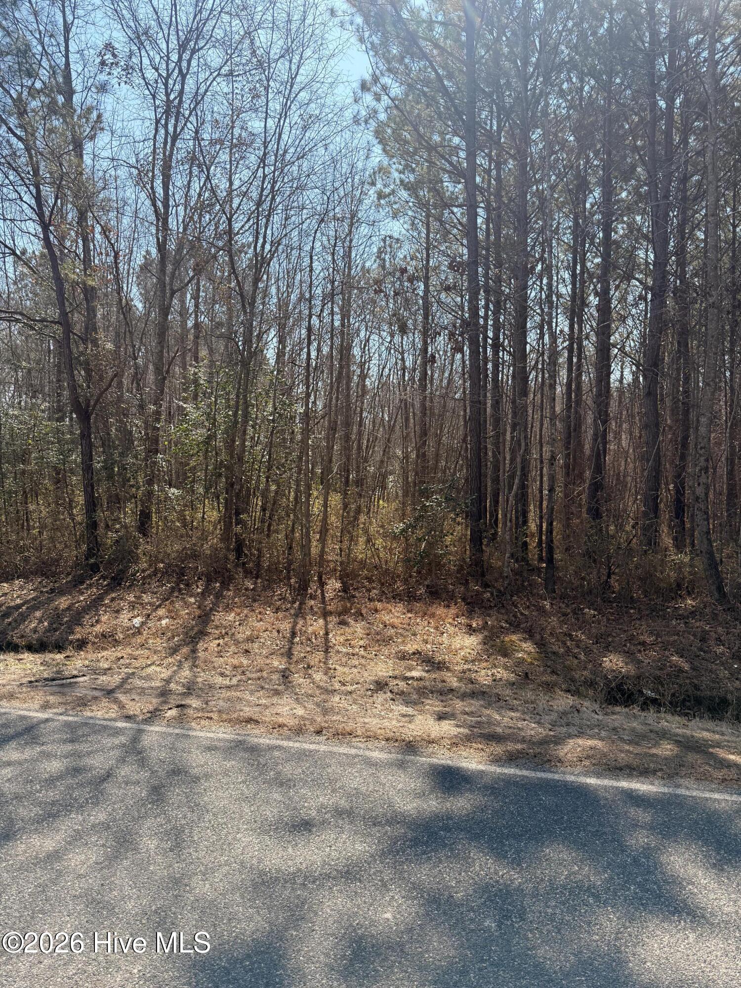 2 Tuggie Eure Road Eure, NC 27935 - Photo 5 of 5 Orange tape marks center of property