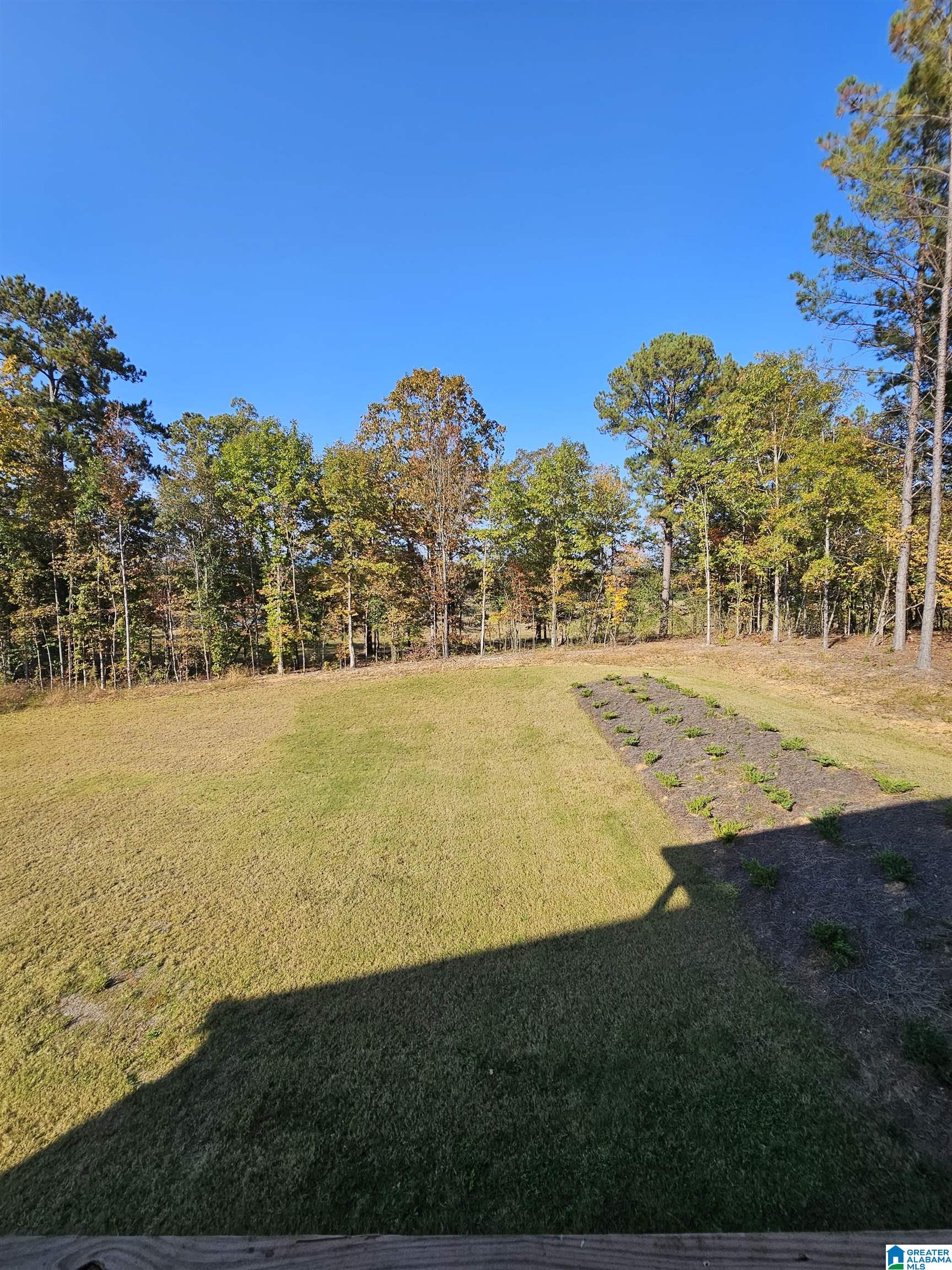 875 Chelsea Park Road Chelsea, AL 35043 - Photo 34 of 65