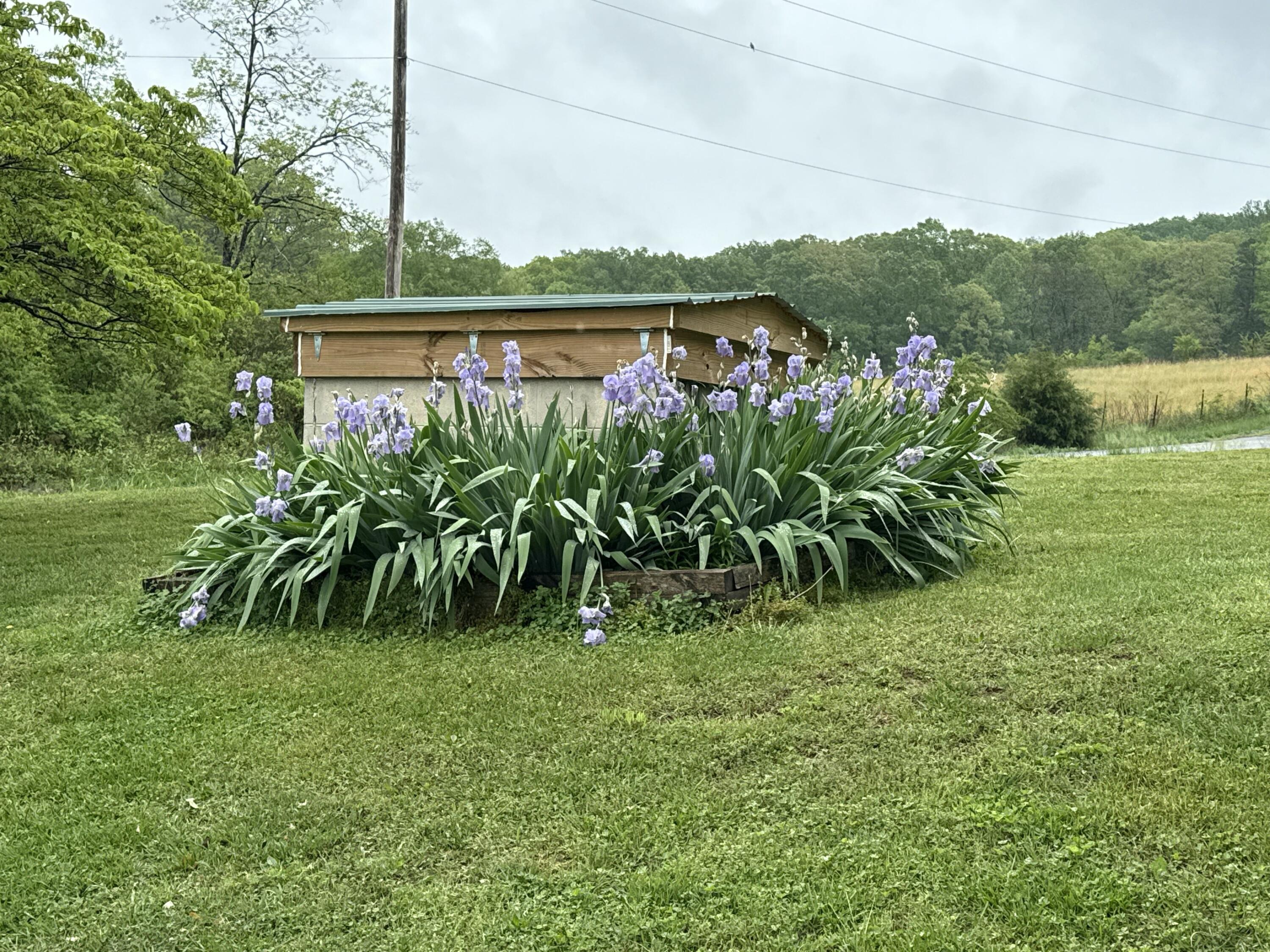 5063 Blue Springs Road Cleveland, TN 37311 - Photo 41 of 43 76703464103__314B4C98-8BDE-441A-AE85-233
