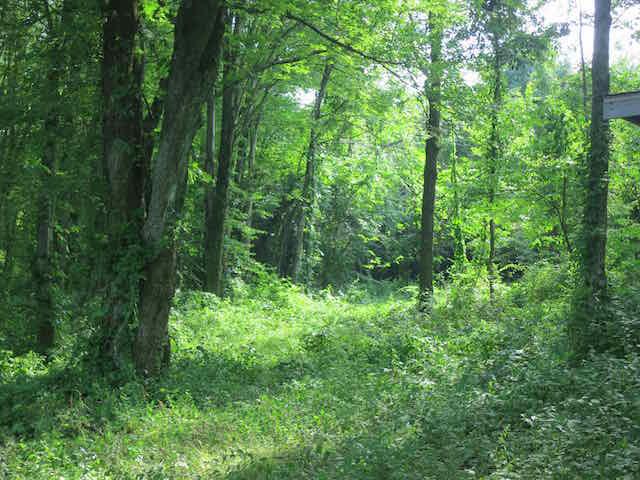 3428 Albright Road Southeast Newark, OH 43056 - Photo 36 of 36 Gallery Image 36