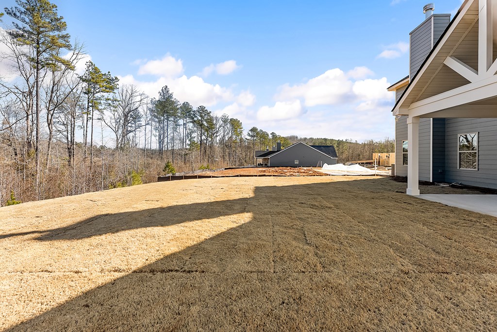 2268 Webbed Way Opelika, AL 36804 - Photo 32 of 32 Gallery Image 32