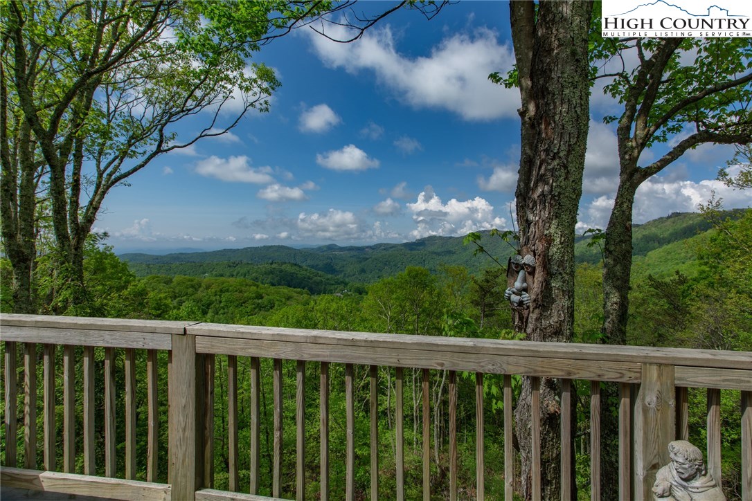 1304 Blackberry Road Boone, NC 28607 - Photo 26 of 32 Gallery Image 26