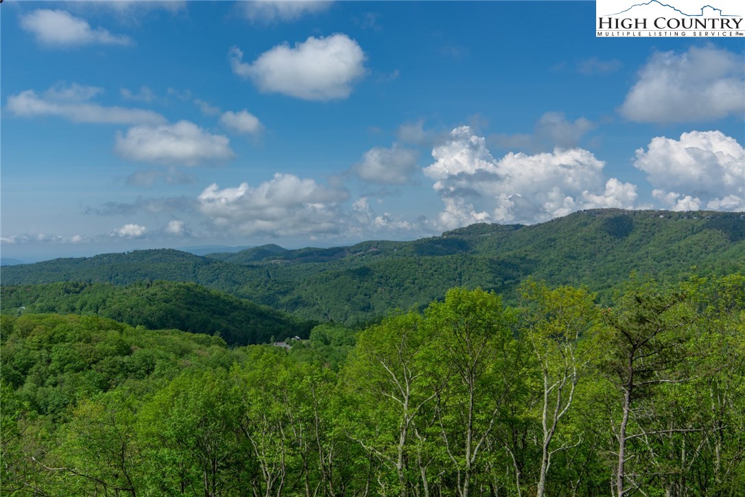 1304 Blackberry Road Boone, NC 28607 - Photo 27 of 32 Gallery Image 27