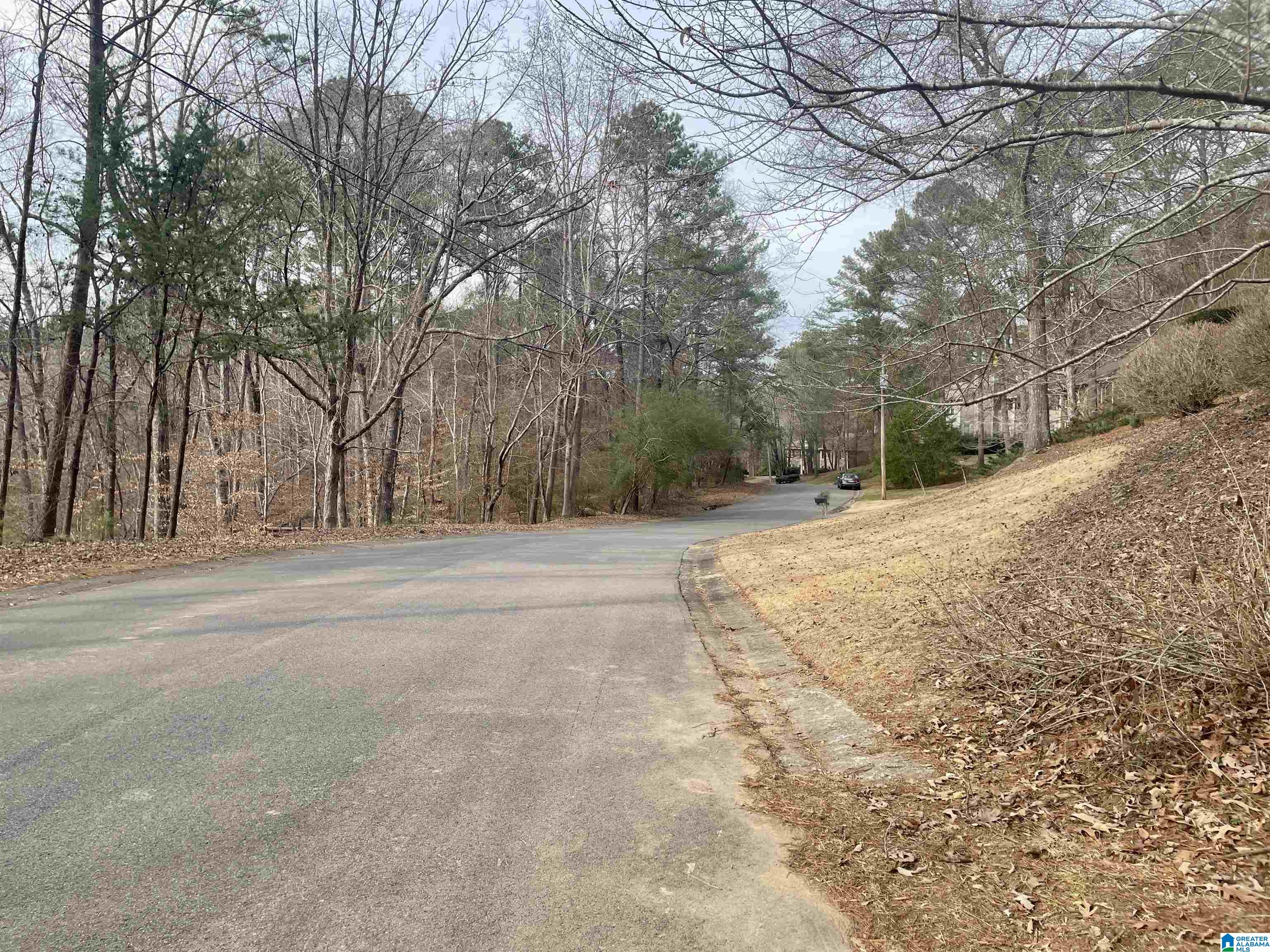 4137 Riverview Cove, Unit 32 Birmingham, AL 35243 - Photo 3 of 16