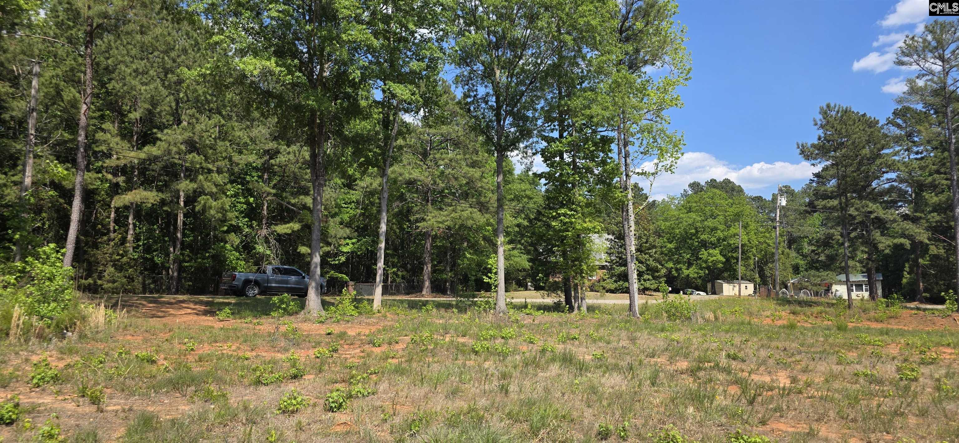 Tbd Tbd Trade Mill Road Winnsboro, SC 29180 - Photo 3 of 3