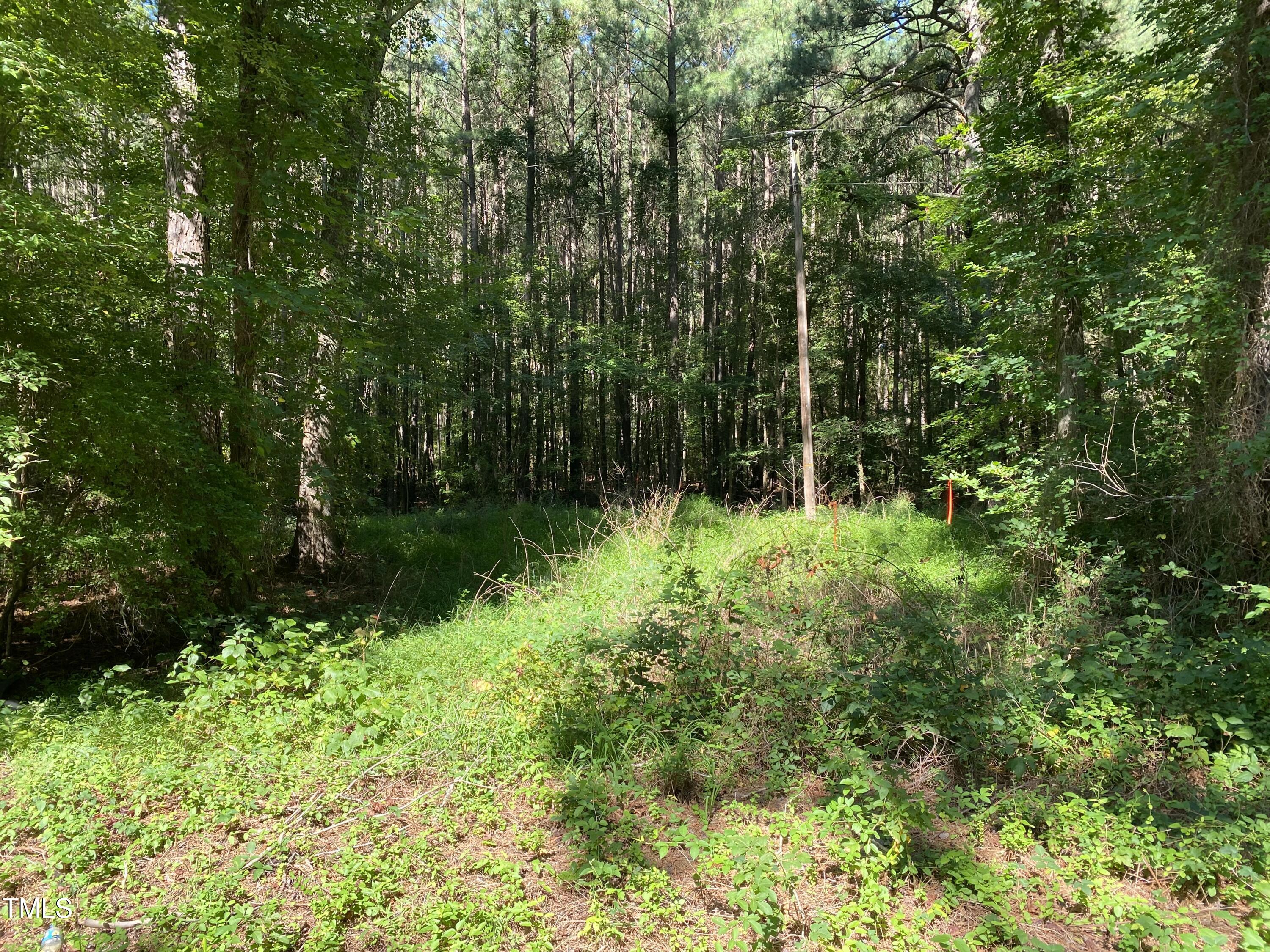 0 Collins Road Norlina, NC 27563 - Photo 1 of 18 a view of outdoor space and yard