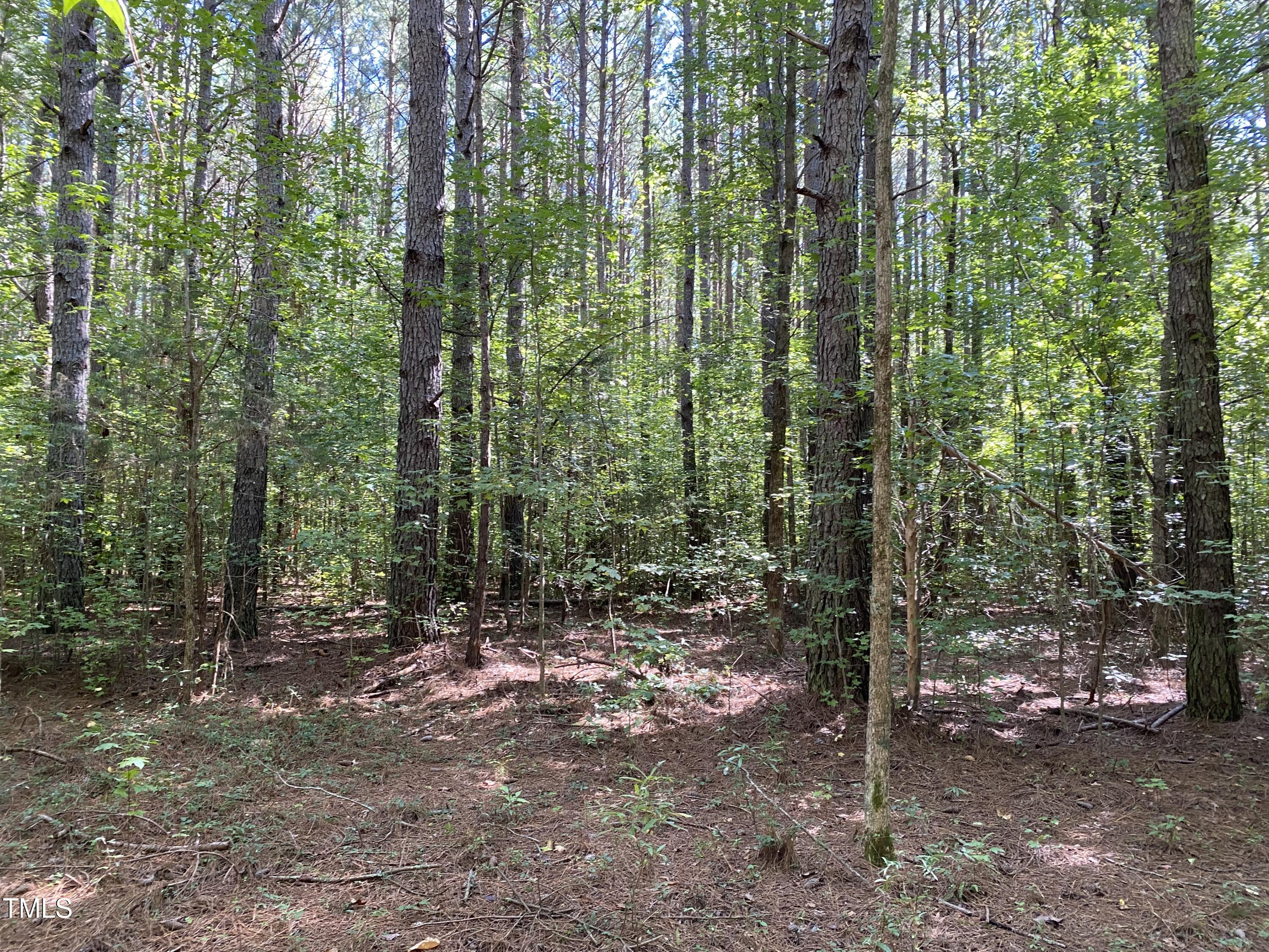 0 Collins Road Norlina, NC 27563 - Photo 12 of 18 a view of forest