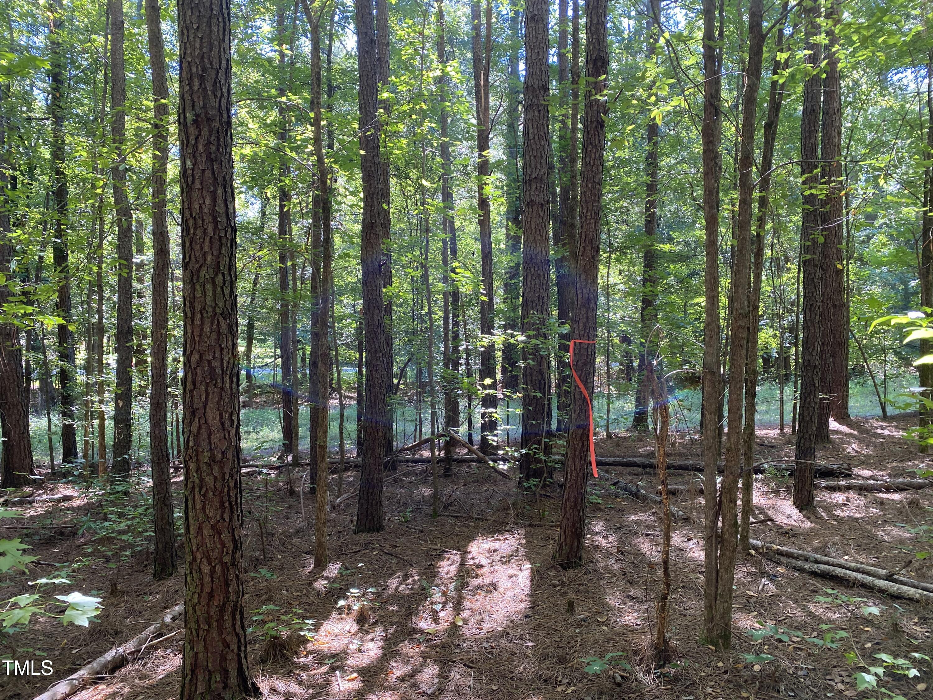 0 Collins Road Norlina, NC 27563 - Photo 13 of 18 IMG_7147