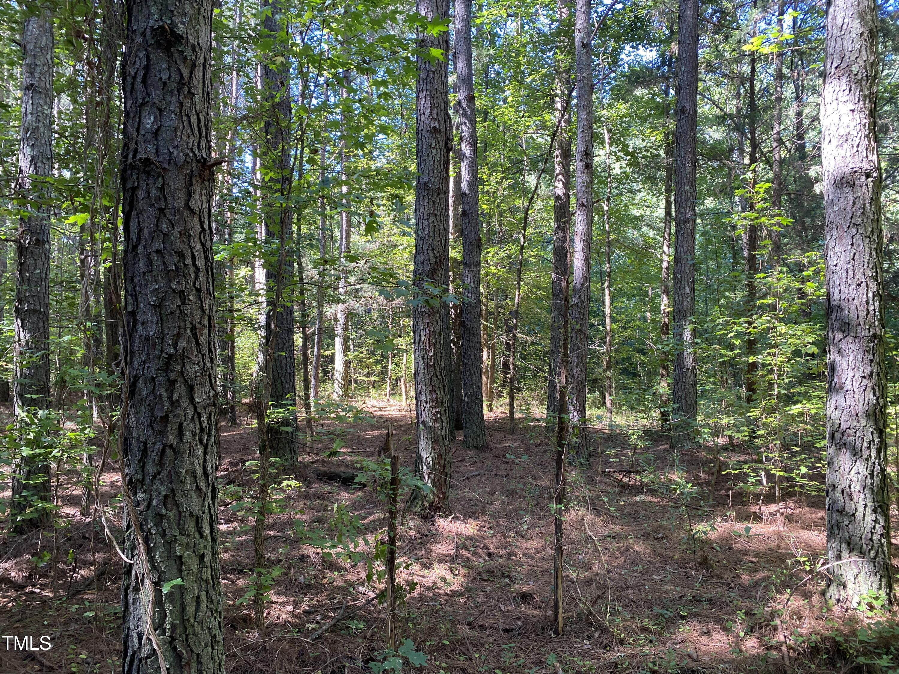 0 Collins Road Norlina, NC 27563 - Photo 10 of 18 a backyard of a house with lots of green space