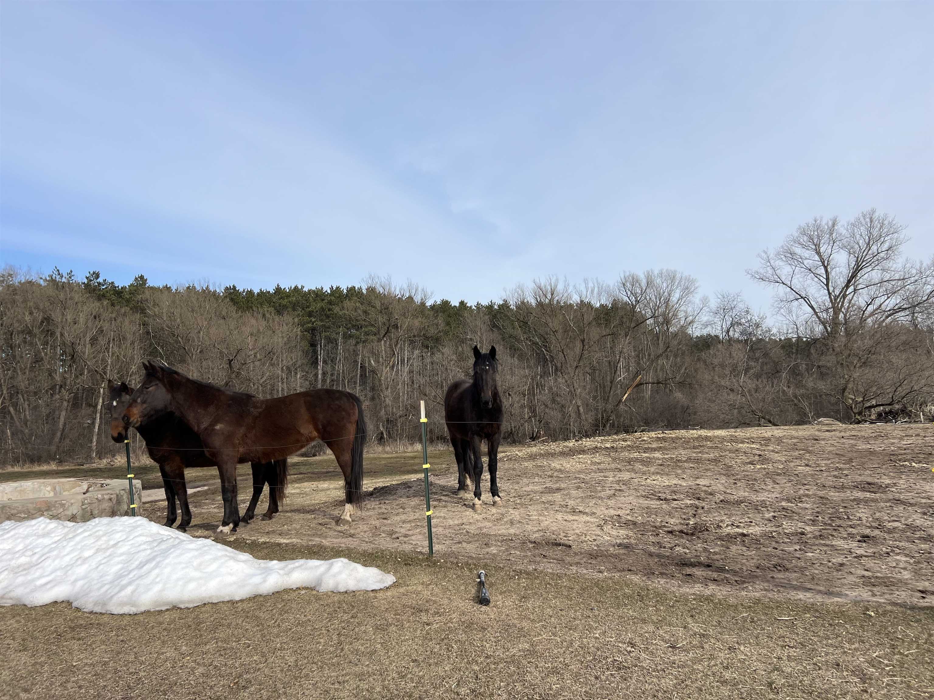 E7037 Swamp Road Marion, WI 54950 - Photo 19 of 22